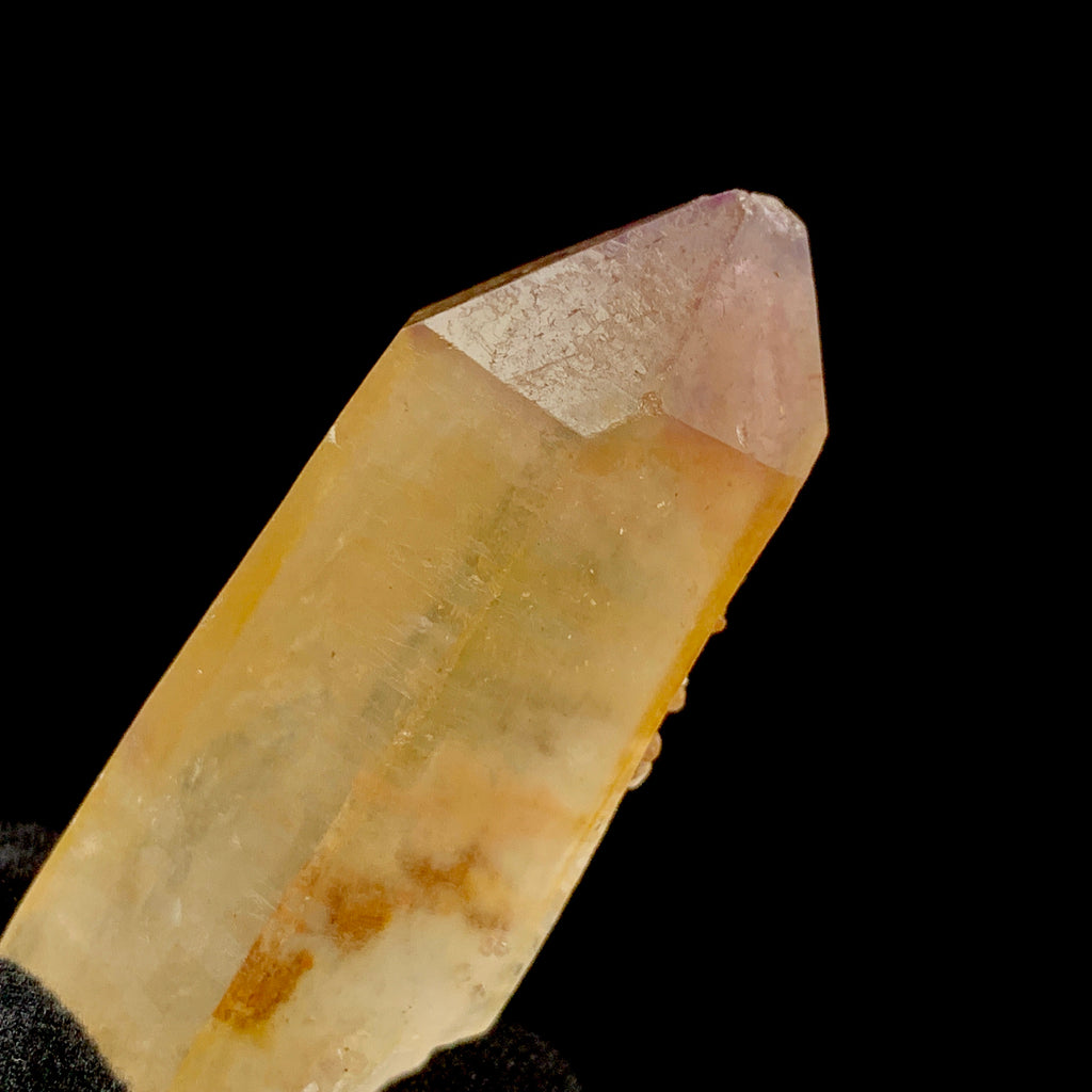 Unity Lemurian with Manifestation