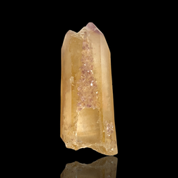 Load image into Gallery viewer, Dreamcoat Lemurians-Golden
