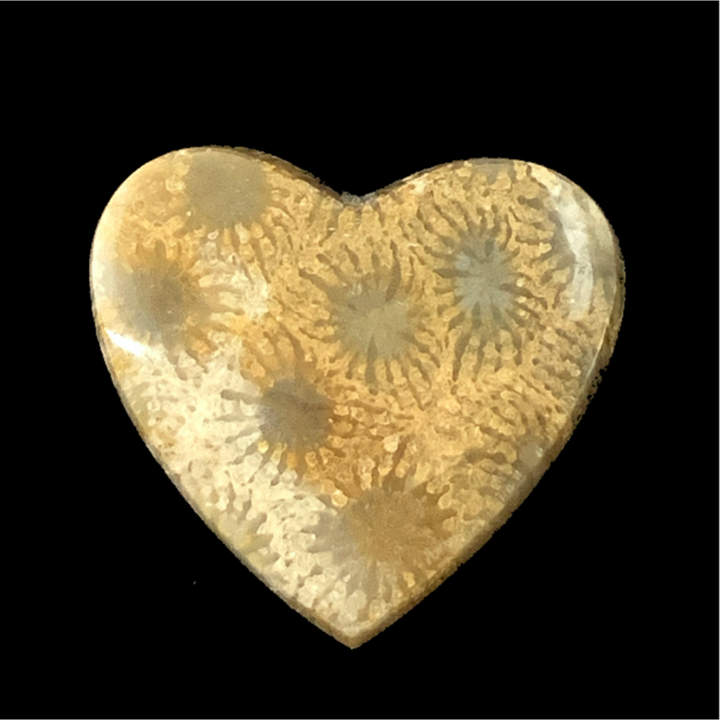 Agatized Coral Heart