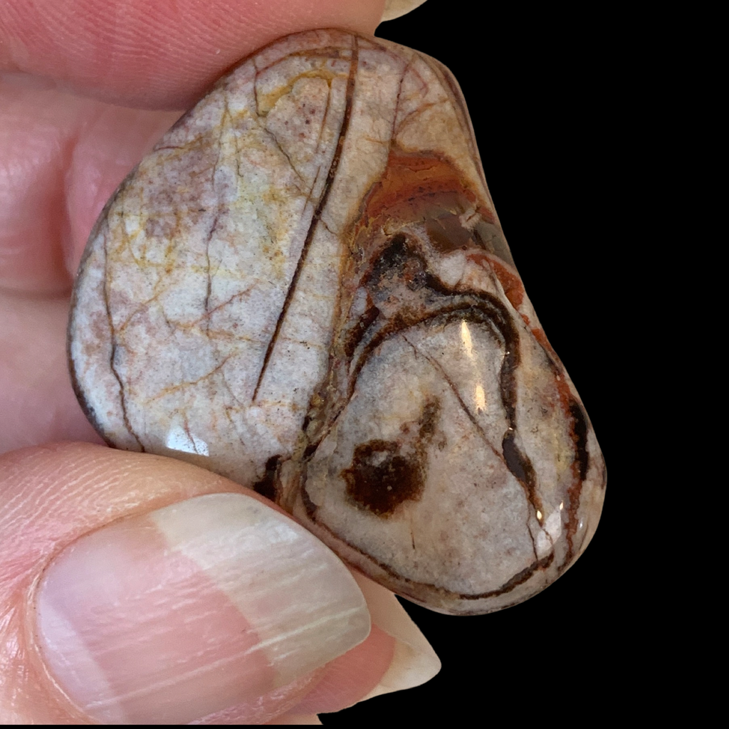 Fascia Jasper Tumbles