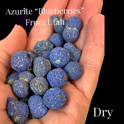 Azurite Blueberries