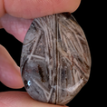 Load image into Gallery viewer, Fascia Jasper Tumbles

