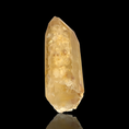 Load image into Gallery viewer, Dreamcoat Lemurians-Golden
