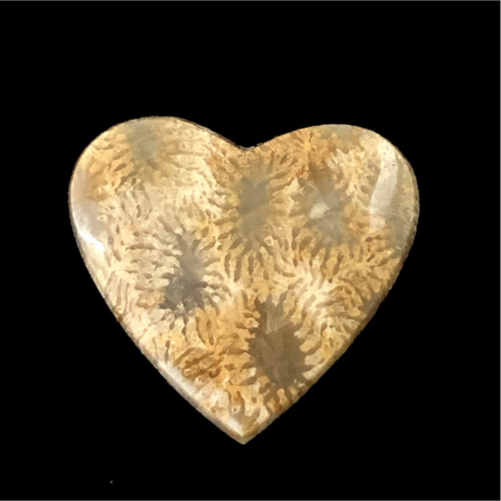 Agatized Coral Heart