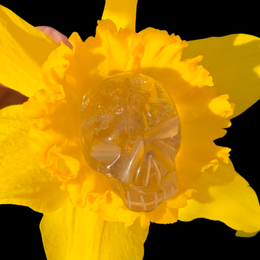 Load image into Gallery viewer, Citrine Mini Skulls
